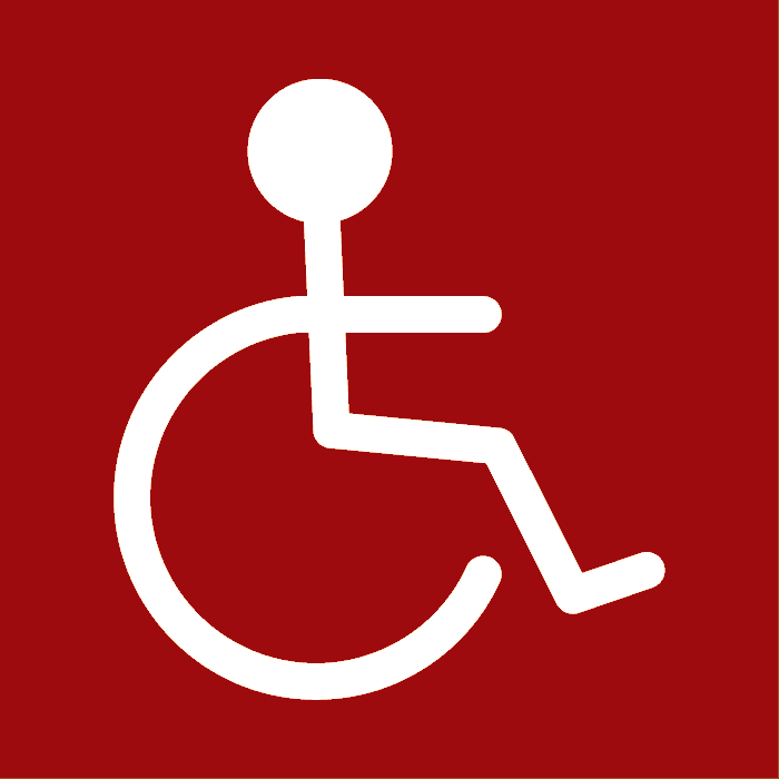 Tělesně handicapovaní